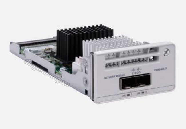 Module Cisco C9200-NM-2Y= 