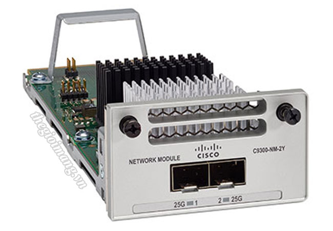 Module Cisco C9300-NM-2Y=