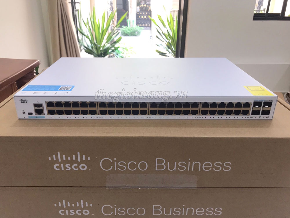 Cisco CBS250-48T-4X-EU 