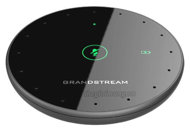 GrandStream GMD1208