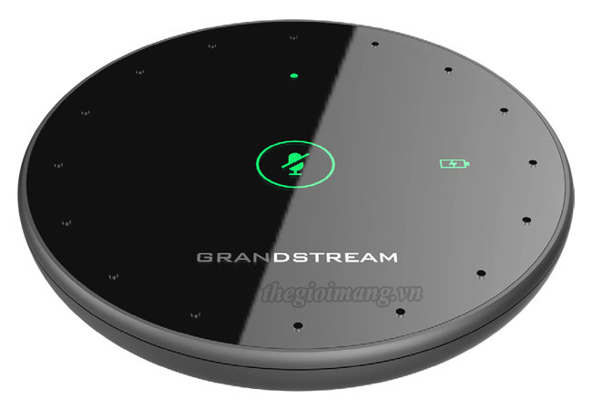 GrandStream GMD1208 