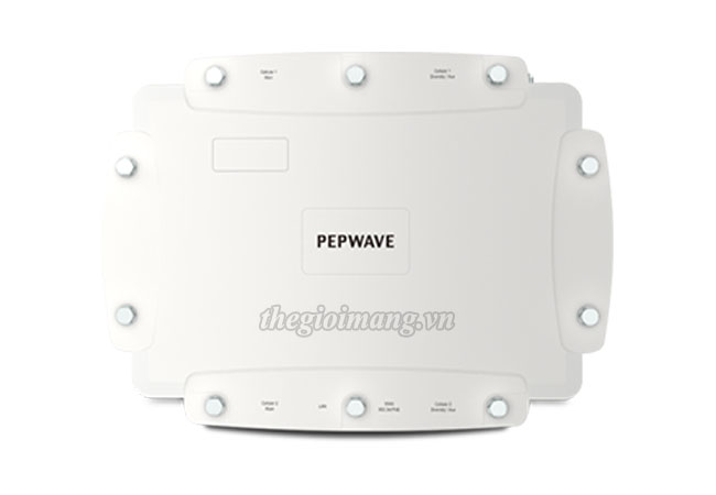 Pepwave MAX HD2 IP67 