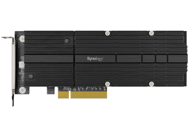 Synology Card M2D20