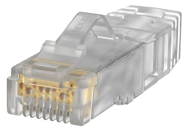 Đầu mạng Cat6A Panduit...